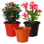 Kuber Industries Plastic Planters|Gamla|Flower Pots for Garden Nursery Home Décor,8