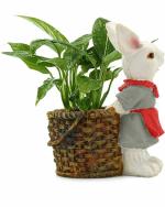 Miss Peach - Multicolor Home Decorative Cute Shaped Bunny Rabbit Shaped Polyresin Planter Pot, Vase For Home Decor , Diwali Gift, Best Gift for Diwali Decor, Diwali Decoration