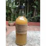 PraanaPoorna Kennel Wash