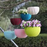 Bhajanlal Greenery Euro Basket Rattan Flower Pot, Multicolour, 6 Pieces