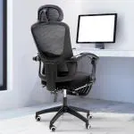 DROGO Premium Ergonomic Office Chair for Work from Home | High Back Computer Chair with Adjustable Seat