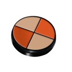 EVORA 4 Color Shades Concealer & Corrector Palette (Shade 4)