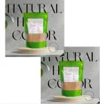 Snehana Natural Hair Colour| Natural Brown| 100G(Pack of 2)