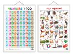 GO WOO Combo of 2 Numbers 1-100 and Kannada Alphabet Educational Posters | Charts for Kids