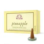 VEDANUM Charcoal Free Pineapple Organic Air Purification Incense Cones 60 g