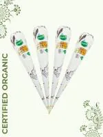 Vegetal Certified Organic Natursl Mehandi Cone, 50 gm - Pack Of 4