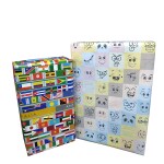 eVincE All Country Flags & Emoji, 2 Pattern Gift Wrapping Papers | 5 x 2 Rolls | 10 Fact filled Gifts Wraps