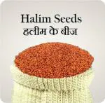 Kotaliya Halim Seed (250 Per Packet)