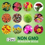 Kraft Seeds Different Variety Summer Flower Seeds (Pack of 12)