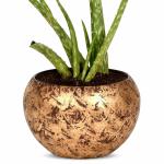 HINS Golden Metal Round Shape Flower Plant Pot for Indoor Plants (Without Stand) Metal Pot for Indoor Plants