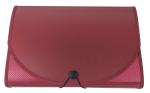 Shining Zon Essentials 13 Pockets Expanding File with Card Holder | Durable Plastic Document File Storage Bag with Elastic Swing File Organizer for A4 Size Documents Red, Pack of 2