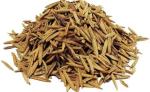 Tamransh Wrightia Tinctoria Seed, 300 Seeds