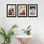 RANDOM Set of 3 Photo Frames With Mount Paper (6 X 8 Inch - 3), Black