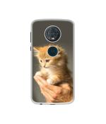 Casotec Cute Kitten DesignPrinted Silicon Soft TPU Back Case Cover for Motorola Moto G6 Plus