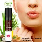 Intimify Lip Serum Roll On, Gives Natural Smoothens, Makes Lips Soft and Supple