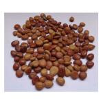 Green India Cassia seeds, Cassia Fistula,Golden Shower Tree, Indian Laburnum Seeds_50 gm