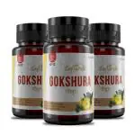 Saptarishi Gokshura Tablets | Natural Tribulus Terrestris Extract | Enhances Muscle Recovery, Boosts Energy & Stamina, Elevates Vigor | Pack of 3 (72 Tablets Each)
