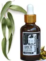Pratha-Beard & Mustache Oil | with clary sage and Eucalyptus blend
