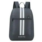 Arctic Fox Boys and Girls Castel Rock School Backpack (17 L)