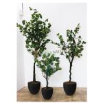 GREENHOUSE Artificial Tall Tree for Home Decor/Office Decor/Gifting 34
