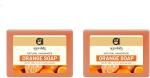 Ayurdaily Natural Handmade Premium Orange Nourishing Body Soap (2 X 125 G)