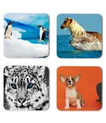 Whats Your Kick Animals Penguin Horse Tiger Dogs Printed Set of 4 Coaster With Metal Stand
