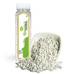 Vrunda's Mint White Sweet Salted Peppermint Madrasi Saunf 180 gm Indian Mouthfreshner Natural Badishep Sweetsalted Fennel Seeds Digestive Aniseed Roasted Saunf Mix Variyali