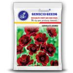 SENECIO Chocolate Cosmos Flower Seed Pack Of 20 Seeds