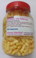 Mullein DH Herbal Supplement Capsules 600 Caps Jar - DoctorKC Herbal
