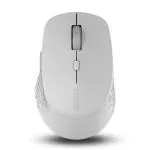 Rapoo M300 Light Grey Optical Silent Wireless Mouse 1600 DPI Sensor 9 Months Battery Life Quiet Buttons Ergonomic for Right-Handed PC and Mac (10.4 x 6.6 x 3.7 cm)