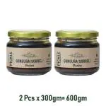 Nature's Trunk - Gongura Pickle (Red Sorrel Pickle) | Ambada Ka Achar With Anti-Oxidants & Nutrients | Healthy, Traditional, Homemade and Pure (Gongura Pachadi)- (Pack of 2)(300G Each)