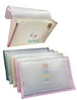 SPLENOR Transparent Expandable Folder With 13 Pockets (Pack Of 3)