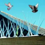 Mr. Right Pigeon Spikes (20 Pcs with Zip Ties) Pigeon Spikes for Balcony, Window AC, Split AC (Polycarbonate)