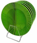 Inpro Melamine Dinner Plates: Lightweight and Easy to Clean | Melamine Round 10 Inch Dinner Plate / Snacks Plates / Kitchen crockery/ Full Plate/ Round Plate / Floral Plate / Melamine Plates / Plate Set of 6 (Full Plates)