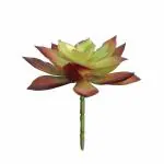 GARDEN KING Artificial Big Succulent Plant (High Real Appearance) (1 PC)