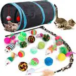 Qpets Cat Toys Kitten Toys Cat Toy for Indoor Cats Cat Feathers Wand Cat Interactive Toys Set with Mouse Mice Balls and Bells Toys for Cats Kitty Kitten (20 Pcs) (Black)