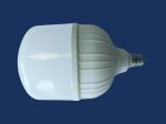 LED BULBS