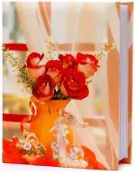 CSN - CUTE SHOPPING NETWORK Natraj Series Photo, Album. with Extra Clear PVC Film 200 Photos (Photo Size Supported: 4x6 Inches, Multicolour)