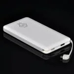 MI-STS C1X USB Portable Charger 10000mAH Fast Charging Powerbank with Inbuilt Cable, Lithium Polymer, Fast Charging for Mobile)