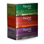 Papyrus 2 Ply Soft Facial Tissues Box | 200 Pulls/Box - Pack Of 3 | Face Tissue Box For Car | Car Tissue Box Ultra Soft | Highly Absorbent, High Wet, Strength Skin Safe (3x200=600 Pulls-1200 Sheets)