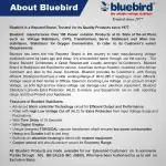 Bluebird 2 KVA Digital Voltage Stabilizer with High Low Cut-off ( HLC) , Copper Wound, 140-280 V