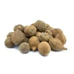 Plantzoin Belliric myrobalan Baheda Terminalia bellirica Bahada 100 Seeds for Plantation