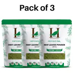 H&C Mint Leaves Powder 100g (pack of 3)