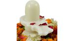 Navyaksh- NAVYAKSH Narmada Shiv lingam Energized Narmadeshwar shivling 1 Pc Decorative Showpiece - 7 cm (Stone, Clear)