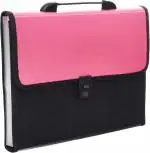 Shining Zon 13 Pockets Plastic Expanding File Folder Documents Large Size A4 Fs Letter Paper Holder with Carry Handle for School Office Home Collage Certificate Organizer (Pack of 2)