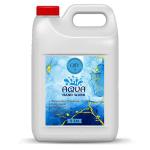 Buy OXY12 Aqua Hand Wash Anti-bacterial Disinfectant 5 LTR Online at ...