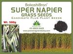 Bokashi Bran Super Napier Grass Seeds 500 g