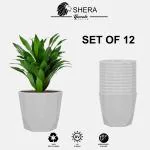 YUCCABE ITALIA SHERA Hexa 6 INCH Pack of 12 Pcs White Plastic Flower Pot