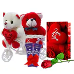 Valentines Day Gift Hamper For Her/Him|Love Combo Gift For Girl/Wife/Fiancee