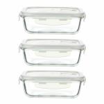 Femora Rectangular Borosilicate Food Storage Container with Air Vent Lid 620 ml (Set of 3)